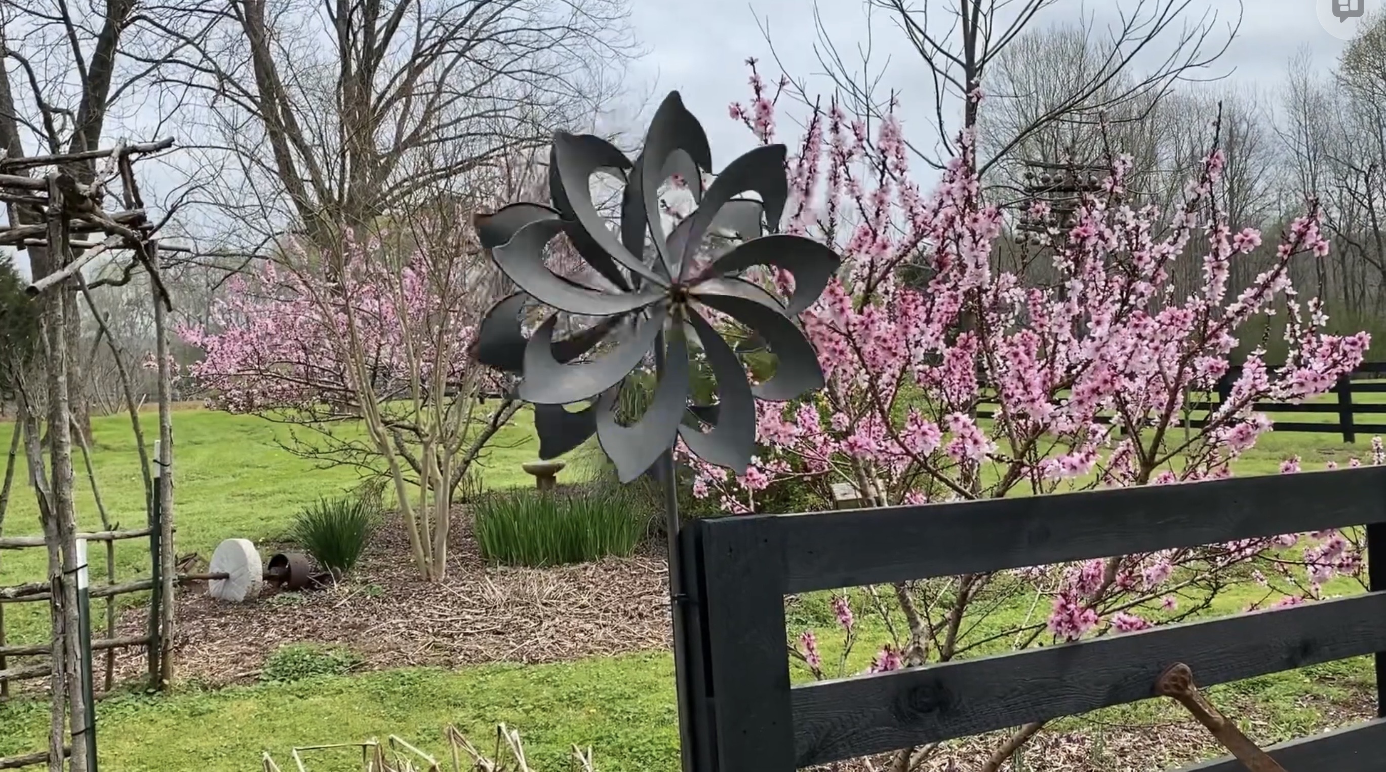 RizzieFarms - 2020 Springtime