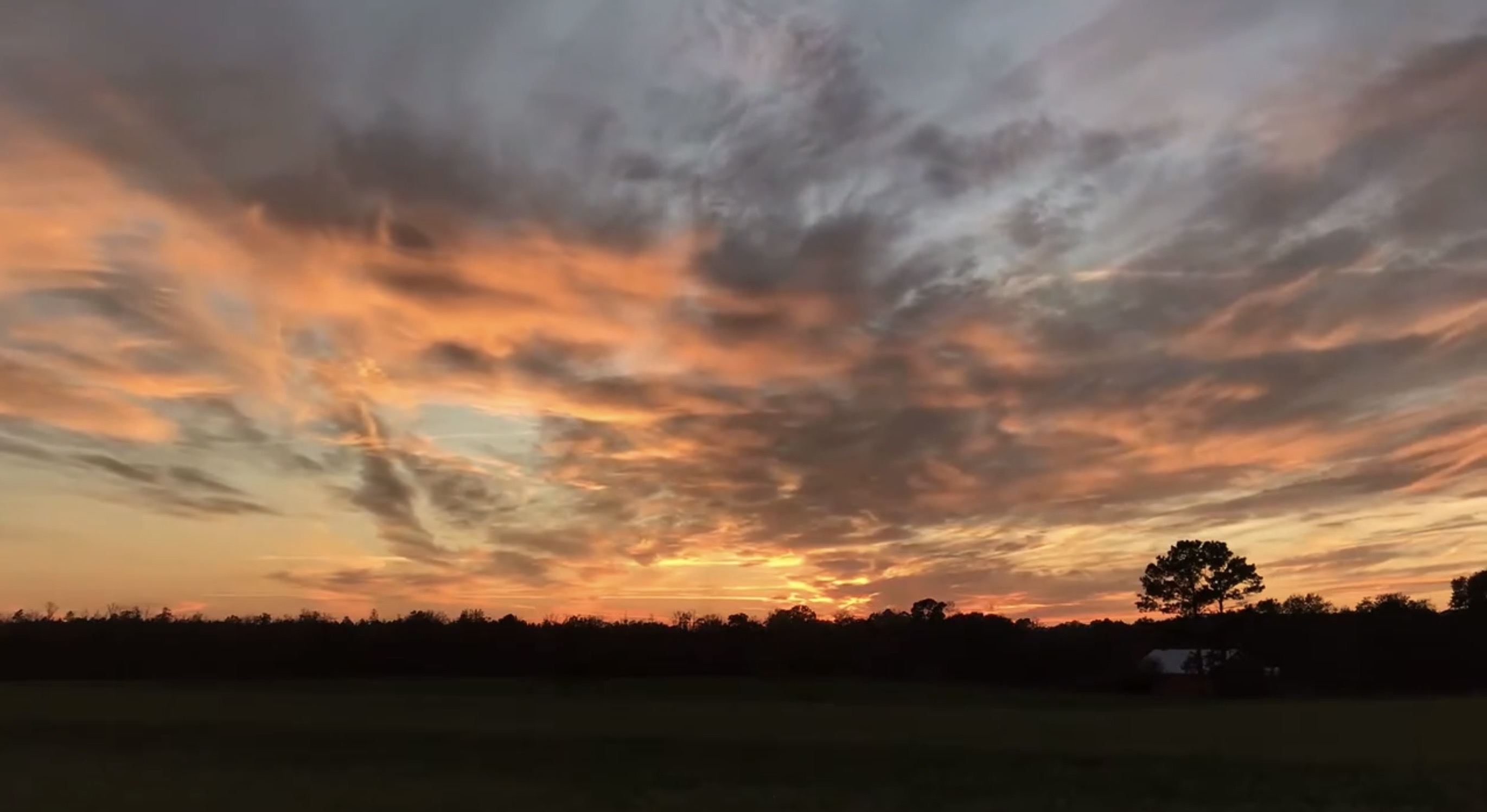 RizzieFarms - Sunset