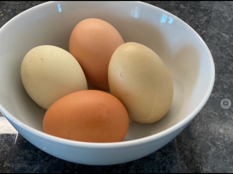 Hard-Boiled Eggs