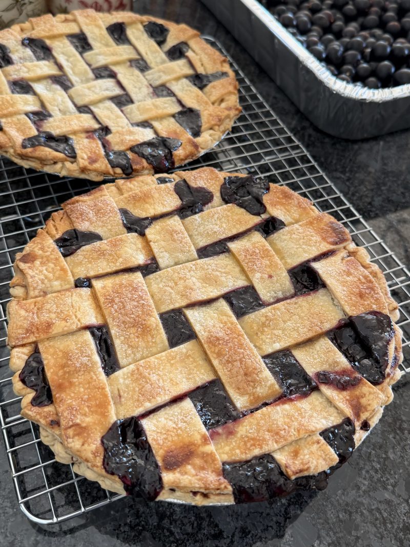 Muscadine / Scuppernong Pie Filling