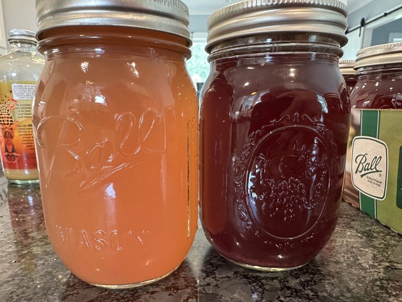Muscadine / Scuppernong Juice (Stovetop Juicer Method)