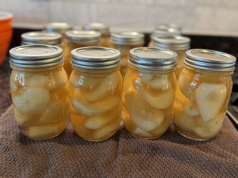 Classic Water Bath Canned Pears