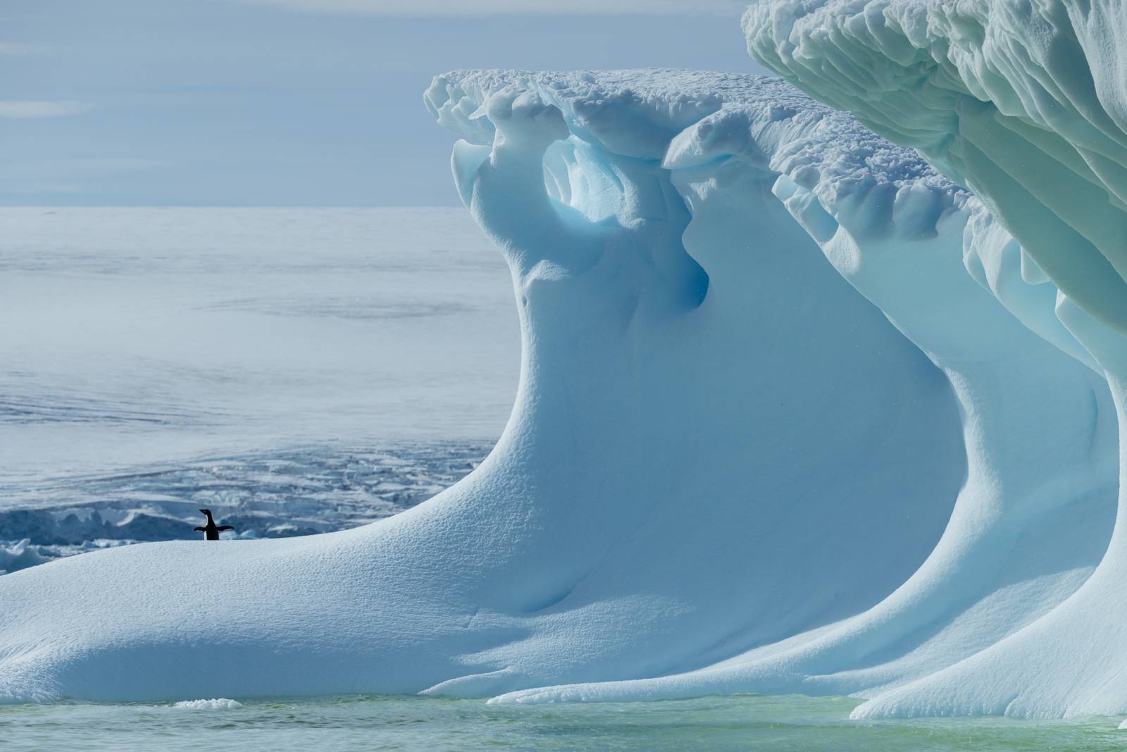 Antarctica our 7th Continent - Orne Harbour