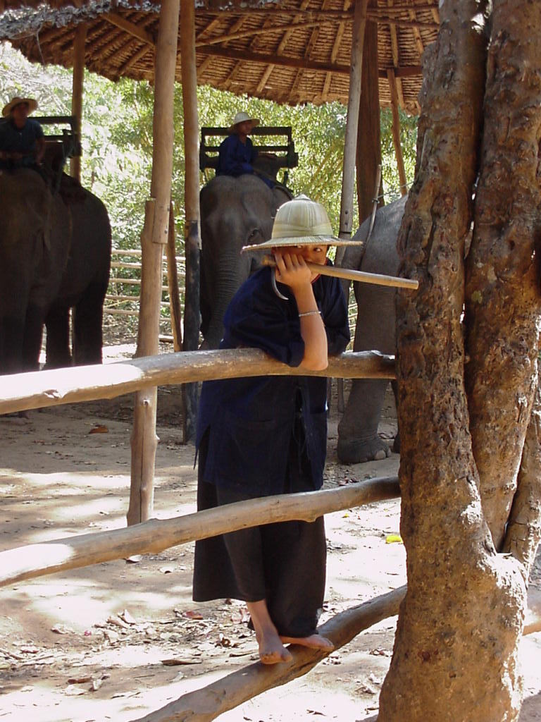 Chiang Mai