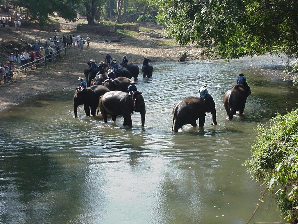 Chiang Mai Thailand