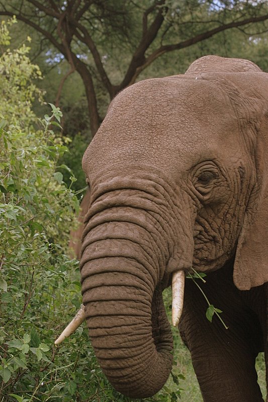 Lake Manyara