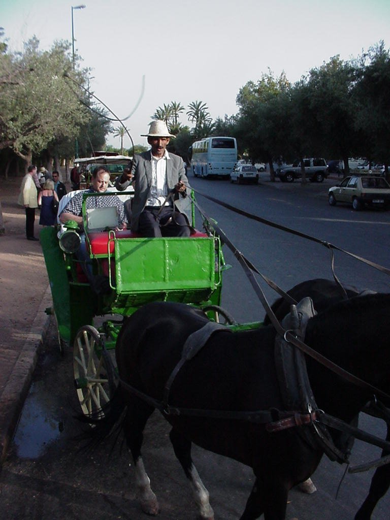 Jemaa el-Fnaa Marrakech Moroco