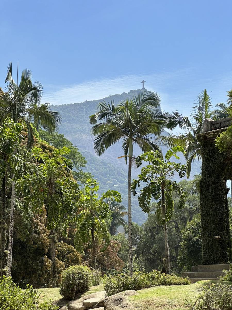 Rio de Janeiro Botanical Gardens