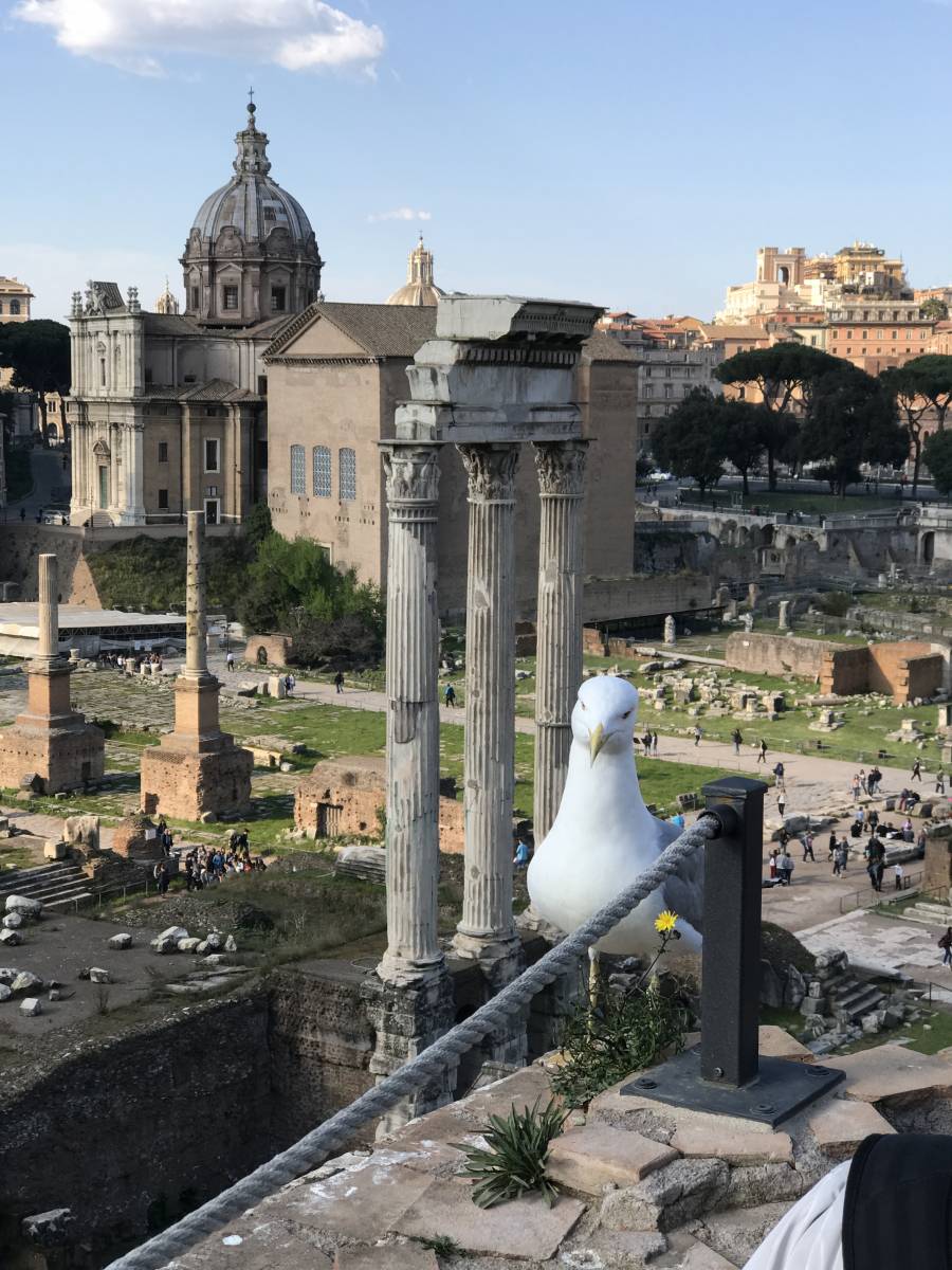 Trip Video - Rome - Florence - Venice Italy