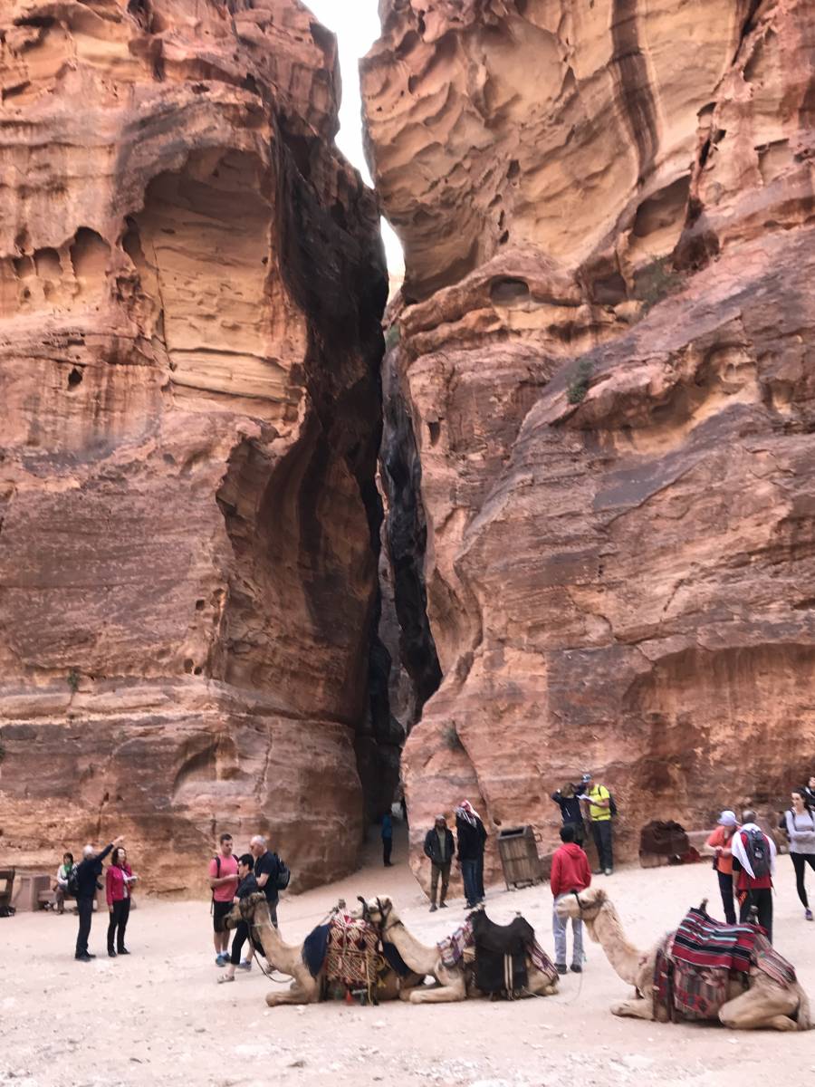 Petra Jordan - Walking the Siq at Daybreak