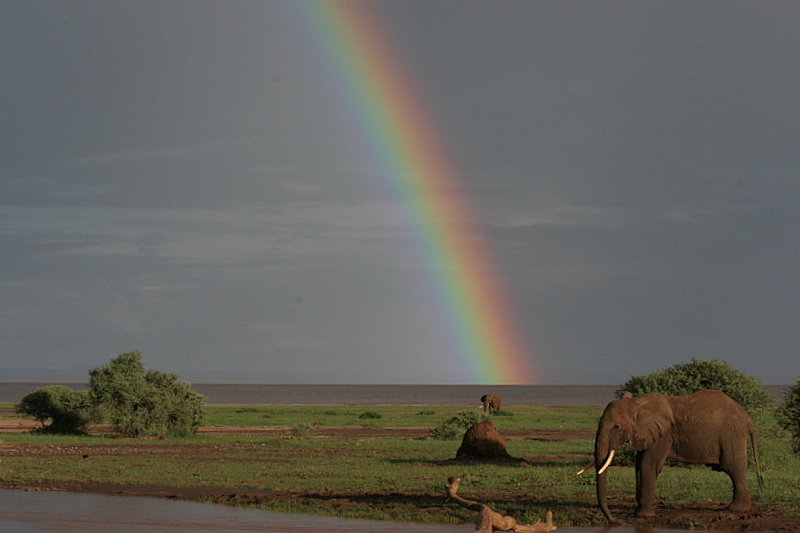 Trip Video - Tanzania Safari - Big 5