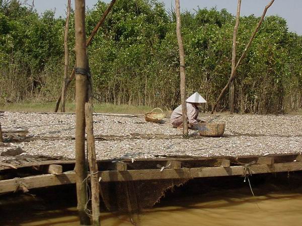 Tonle Sap Cambodia
