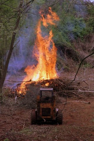 Photo 9