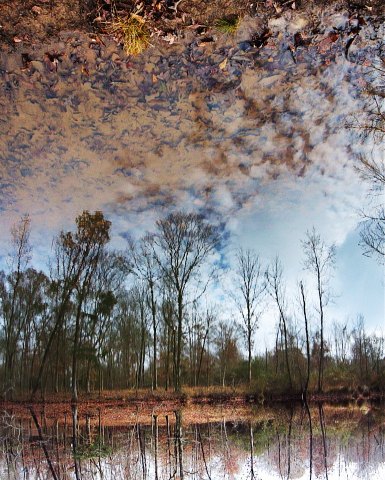 Unside Down Reflection