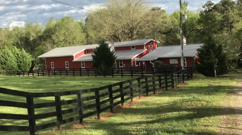 RizzieFarmss - Madison GA