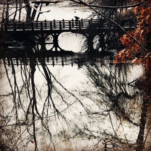 Central Park NYC