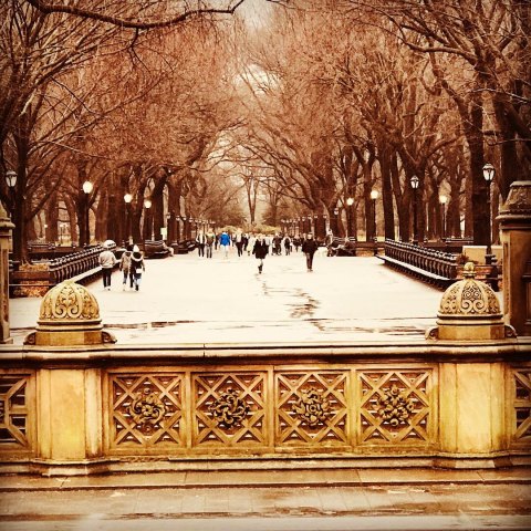 Central Park NYC