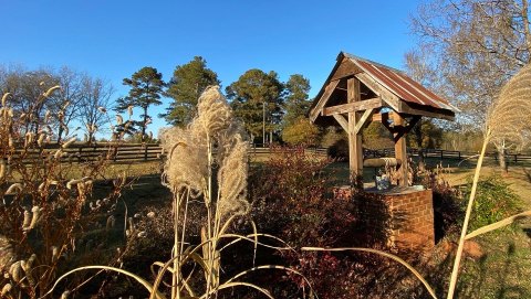 Rustic old wishing well